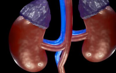 Could Your Adrenals be the Cause of your Symptoms