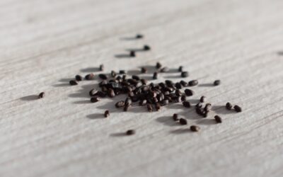 Can Black Seed Oil Help Balance Cholesterol?